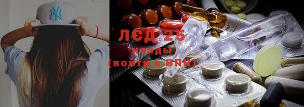 гашик Арсеньев