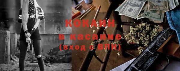гашик Арсеньев