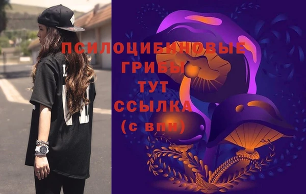 твердый Армянск
