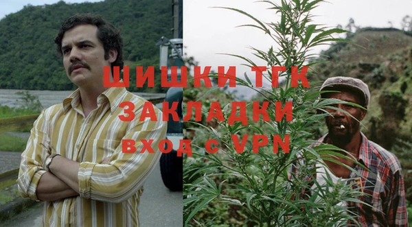 гашик Арсеньев